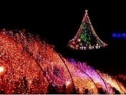 神奈川県丹沢仏果山付近の宮ヶ瀬クリスマスツリー