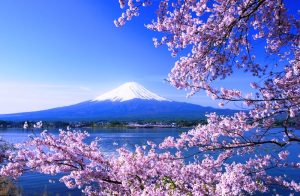 富士山と桜～河口湖から