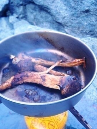 北アルプス涸沢での松茸を焼い模様
