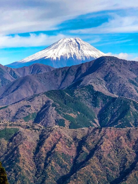 身延山山頂から見える富士山