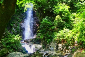 払沢の滝