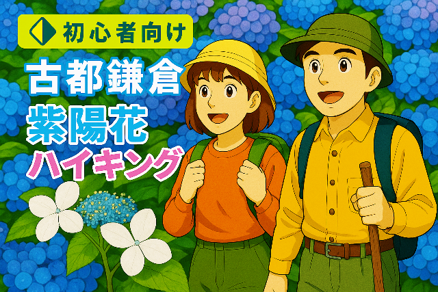 鎌倉の紫陽花ハイキングを楽しむ３０代の山ガールと山ボーイのイラスト
