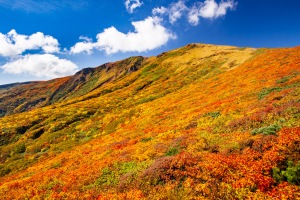 栗駒山
