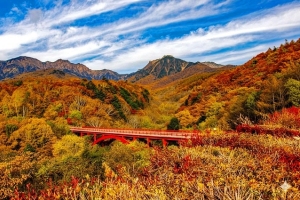 八ヶ岳・美し森&清里カレー