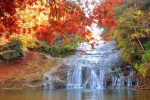 養老渓谷~インプレ車ラストラン