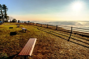 房総半島 鹿野山&水仙