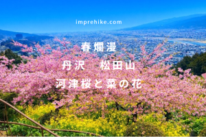 松田山 河津桜と菜の花ハイキング