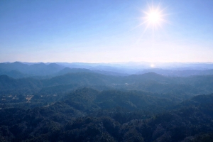 房総半島 鹿野山&水仙